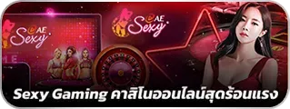 imgi_39_2_Sexy-Gaming_result